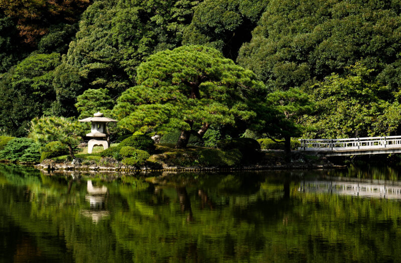 Shinjuku Gyoen park