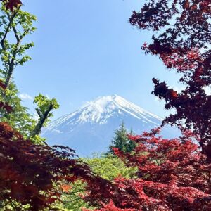 mt fuji view koyo fall