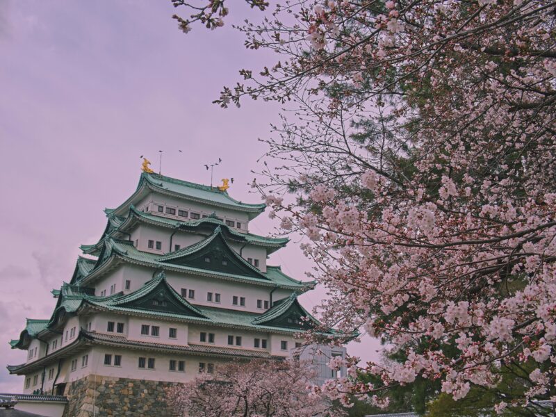 Nagoya castle