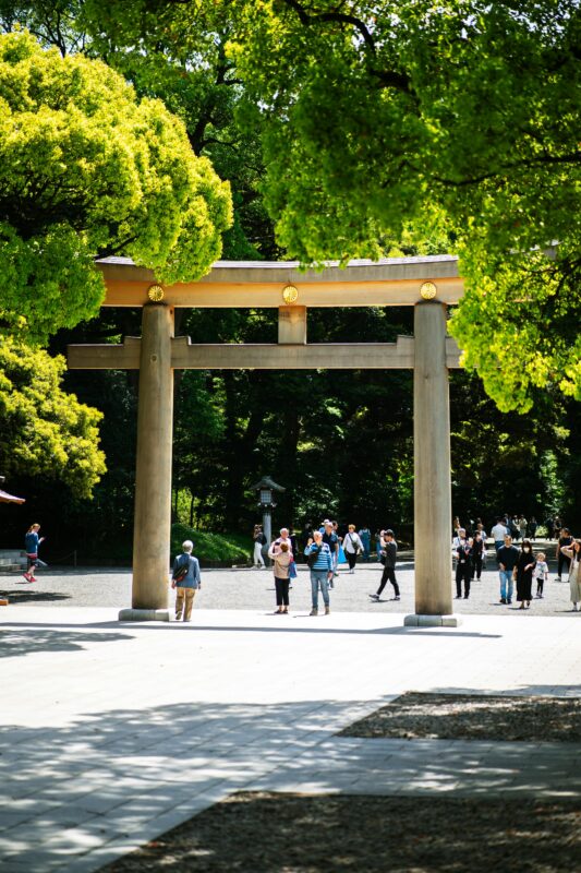 meiji jungu shrine harajuku tokyo