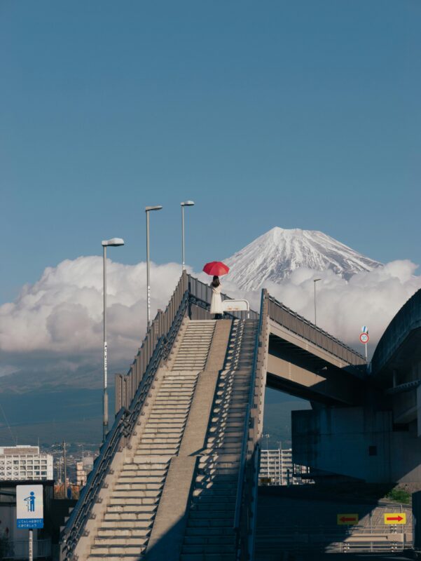 mt fuji view