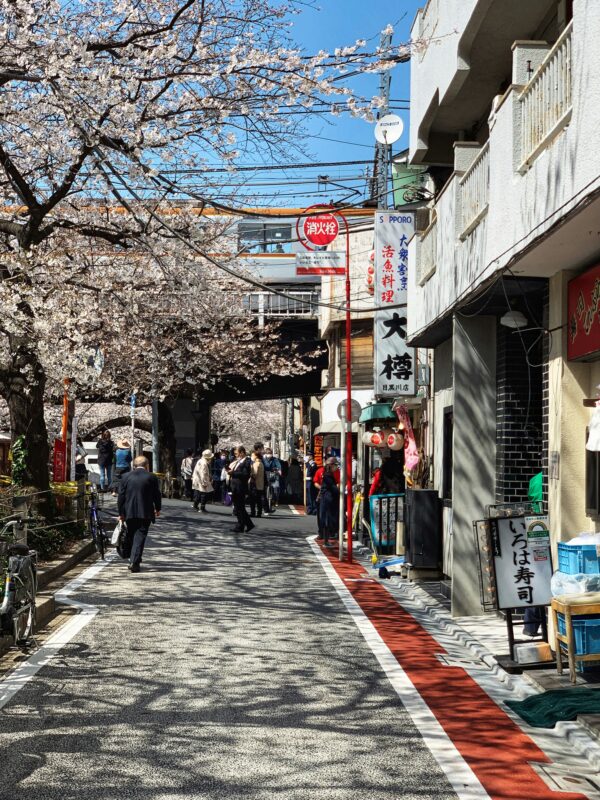 Nakameguro street