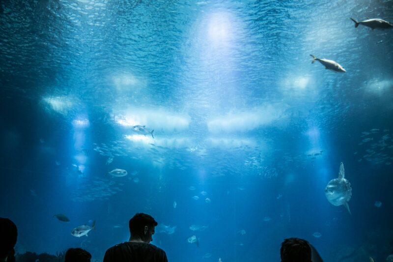 sumida aquarium