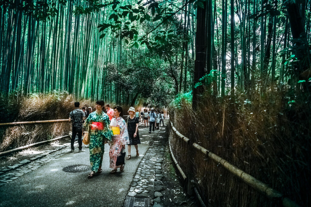 Tourists in a bamboo forest in Kyoto, Japan