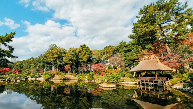 Shukkeien garden in hiroshima