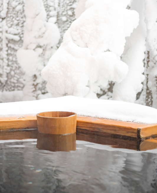 japanese onsen hot spring